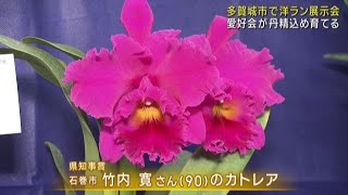 愛好家が丹精込めて育てた洋ランの展示会　宮城・多賀城市