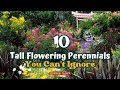 Top 10 Tall Flowering Perennials You Can't Ignore 🌷🌻🌹 // Gardening Ideas