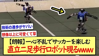 【朗報】一心不乱でサッカーを楽しむ直立二足歩行ロボット現るwww※2ch反応まとめ※