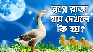 স্বপ্নে রাজা হাস দেখলে কি হয় | shopne raja hash dekhle ki hoy | Zubayer Bin Emam | Islamic video