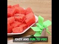 Watermelon Windmill Slicer