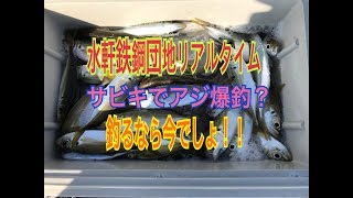 fishingmax和歌山インター店12月21日水軒鉄鋼団地リアルタイム