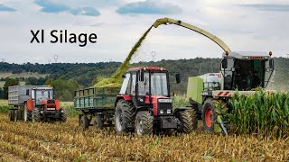 Mtz,Ifa,Zetor Crystal [2022] Silózás/Silage/Siláže