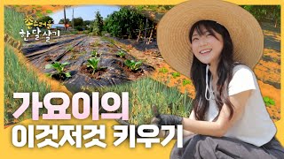 가요이의 이것저것 키우기 | #촌스러운한달살기 | EP.3