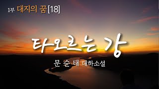 제1부 대지의 꿈[18]ㅣ대하소설 ㅣ문순태 ㅣ타오르는 강 ㅣ소설 듣기 ㅣKorean Audio Book ㅣ영심책방 ㅣ