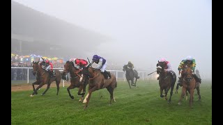 REPLAY: Live Irish racing on St Stephen's Day from Leopardstown, Limerick and Down Royal