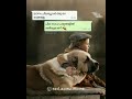 Malayalam sad whatsapp status video | typography | ,sad alone breakup thepp cry single life truth