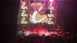 Attacked by Snakes - Aquabats