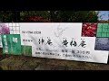 堺市茶室　伸庵・黄梅庵（２０１７年１１月２３日）