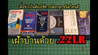 .22lr ถ้าจำเป็นต้องเลือกเเบบไหนดีเฝ้าบ้านคุณ