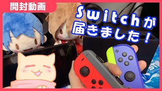 【開封動画】MEIKO＆KAITOカラーでカスタマイズしたSwitchが届いたよ！