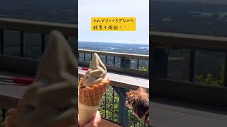 愛犬とおでかけ！三重の絶景スポット横山展望台に行ってきました　#shorts