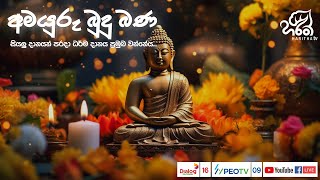 අමයුරු බුදු බණ | Amayuru Budhu Bana | Haritha TV