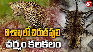 Forest Officials Nabs  Four Tiger Skin Smugglers In Visakhapatnam | 6TV