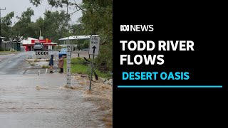 The usually-dry Todd River flows through Alice Springs | ABC News