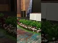 dekorasi mini garden acara rapat