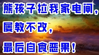 熊孩子拉我家电闸，屡教不改，最后自食恶果 - 情感故事 2023