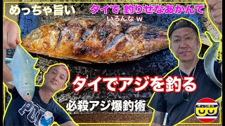 【THAI LAND】タイでいろんな釣りせなあかんて！爆釣必殺シャクリの術でアジ４００匹釣れた！！