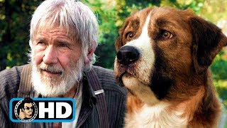 THE CALL OF THE WILD | All Clips + Trailers (2020) Harrison Ford Movie