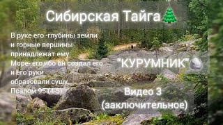 КАМЕННАЯ река. УРА! Нашли грибы. Тайга. Поездка завершается