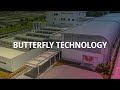 BUTTERFLY TECHNOLOGY