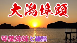 【琴葉雑談10】大潟埠頭とはなんぞや じつは津乃峰町なんですけどね