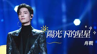 #肖戰 #xiaozhan《陽光下的星星》《The stars under the sun》【純享】#肖战 #song #歌