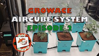 Growace | AirCube Active Oxygen Ebb and Flow Grow System | Ep 2 | Bucket System Setup Walkthrough