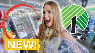 Dollar Tree *Just Dropped* NEW Organizing Products! 🎉 (Pantry Makeover Inside!)