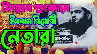 সিংহের হুংকারে ইসলাম বিরোধী নেতারা | Nutvislamia June 20, 2022