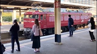 【単機】 慌てて撮ったEF81-134号機 千葉みなと駅停車