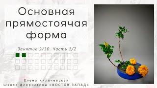 Занятие 2. Основная прямостоячая форма. Курс 