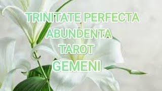 💥GEMENI💥 ABUNDENTA 💥 TRINITATE PERFECTA 💥 DUMNEZEU, SPIRITUL SFANT, MINTE BINECUVANTATA 💥 FERICIRE 💥