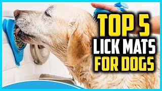 Top 5 Best Lick Mats for Dogs in 2024