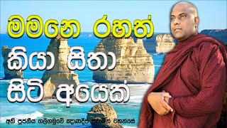 රහත් නොවී රහත් කියල බොරු දෘෂ්ඨියකට ආවොත් ඒ කෙනා ගලවගන්න එක අමාරුයි | Galigamuwe Gnanadeepa Thero