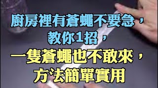 廚房裡有蒼蠅不要急，教你1招，一隻蒼蠅也不敢來，方法簡單實用