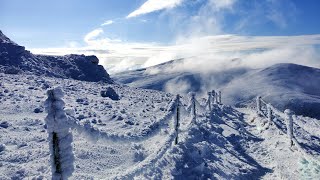 Bukowe Berdo 1313m Bieszczady Zima 2024