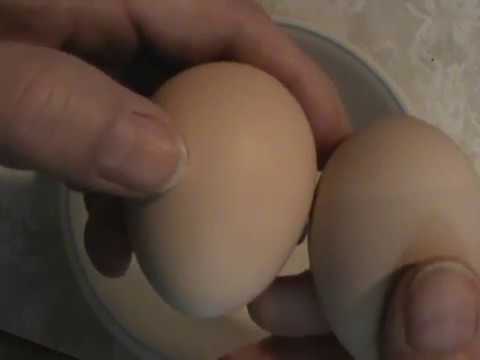 Another strange egg Another strange egg