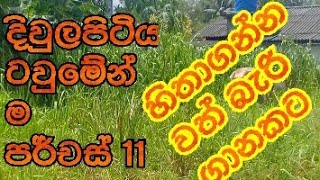 gampaha land / diulapitya land / land fro sell /rana land sell / දිවුලපිටිය ටවුමෙන් පර්චස් 11 අඩුවට