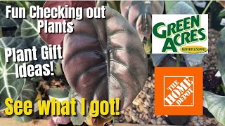 384: PlantMas: Tropicals, Houseplants, Cactus & Succulents | 🎶Green Acres Is The Place To Be!