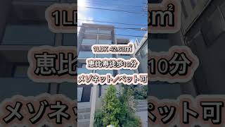 【恵比寿徒歩10分】恵比寿でペットと住まう！　メゾネットタイプ1LDK賃貸マンション