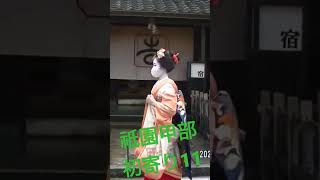 舞妓　初寄り　祇園甲部