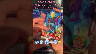 【SDBH】今日のレンコ！（19）SECベジットが欲しい✨UGM4弾！✨