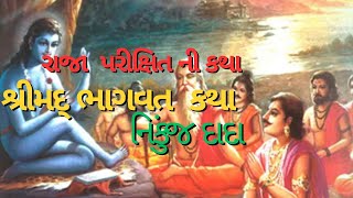 રાજા પરીક્ષિત ની કથા || શ્રીમદ્ ભાગવત  કથા || નિકુંજ દાદા || Mansa