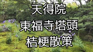 【京都歴史散策】桔梗の寺で名高い東福寺塔頭の天得院を散策致しました❢