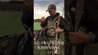 GetDucks com Review Argentina Duck Hunting Field and Stream
