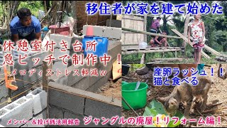 【メンバー投げ銭リクエスト】移住者が家を建ち始めた、メロディ安心♪退避機能付き台所、美味しい卵が沢山採れ始める！