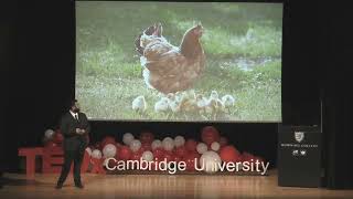 Sustainable Cultured Meat: The Next Big Revolution? | Yash Mishra | TEDxCambridgeUniversity