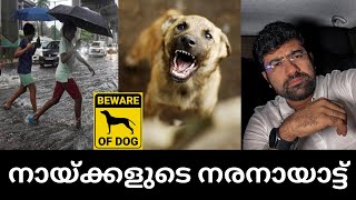 😡നായ്ക്കളുടെ നരനായാട്ട്