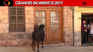 🤩 GRANDES MOMENTOS de 2019 · Segunda parte